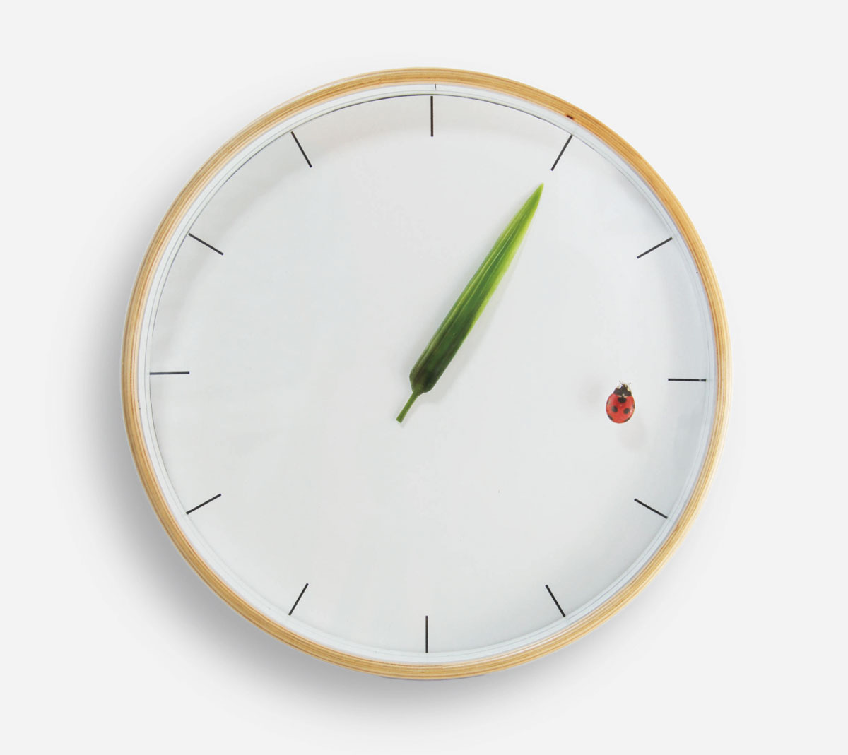 Perch clock 4 m